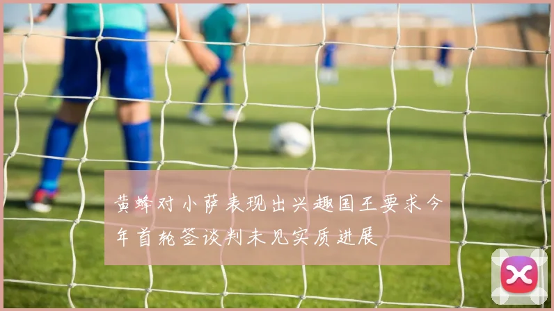 黄蜂对小萨表现出兴趣国王要求今年首轮签谈判未见实质进展