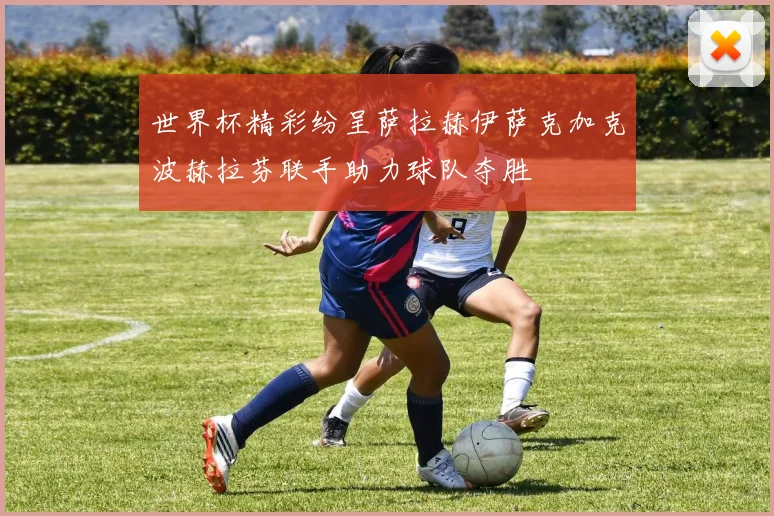 世界杯精彩纷呈萨拉赫伊萨克加克波赫拉芬联手助力球队夺胜