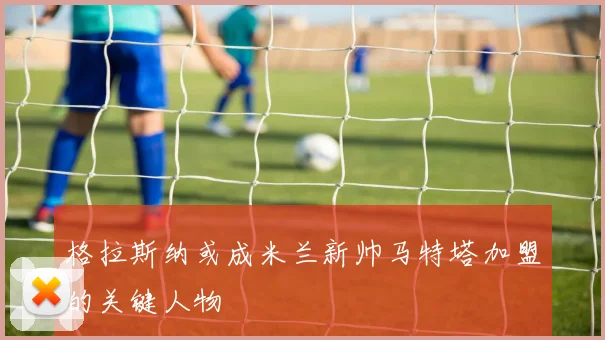 格拉斯纳或成米兰新帅马特塔加盟的关键人物